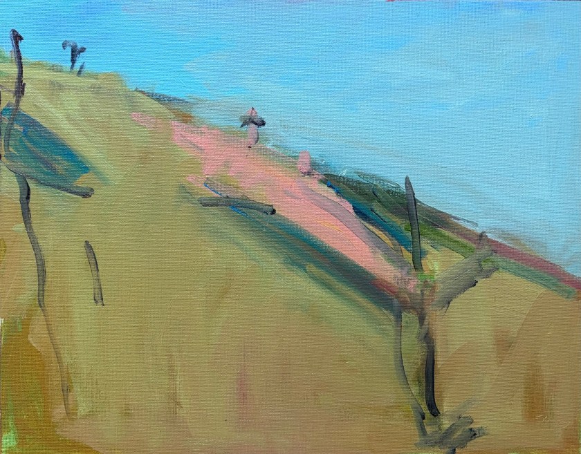 Bearberry Hill